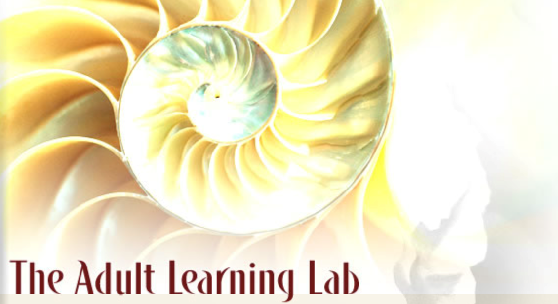 The Adult Learning Lab
